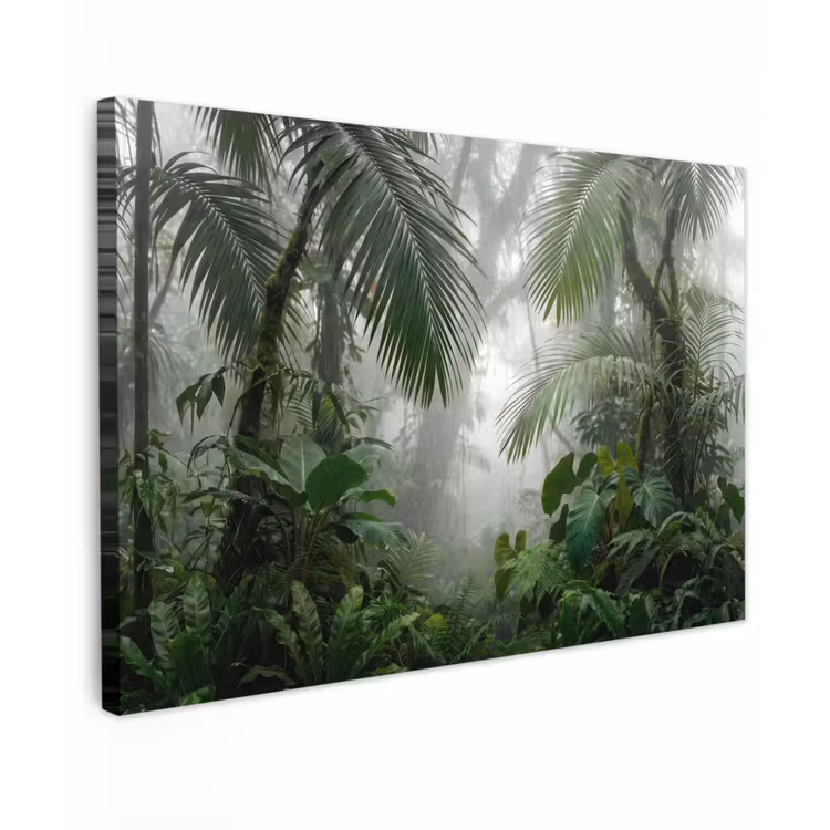 Buiten canvas - Natuur - Jungle - Mist - Tropisch - Groen — 1