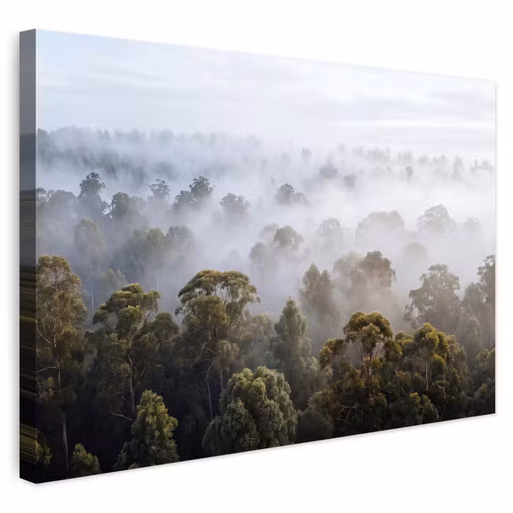 Buiten canvas - Natuur - Mist - Bos - Ochtend - Goud — 1