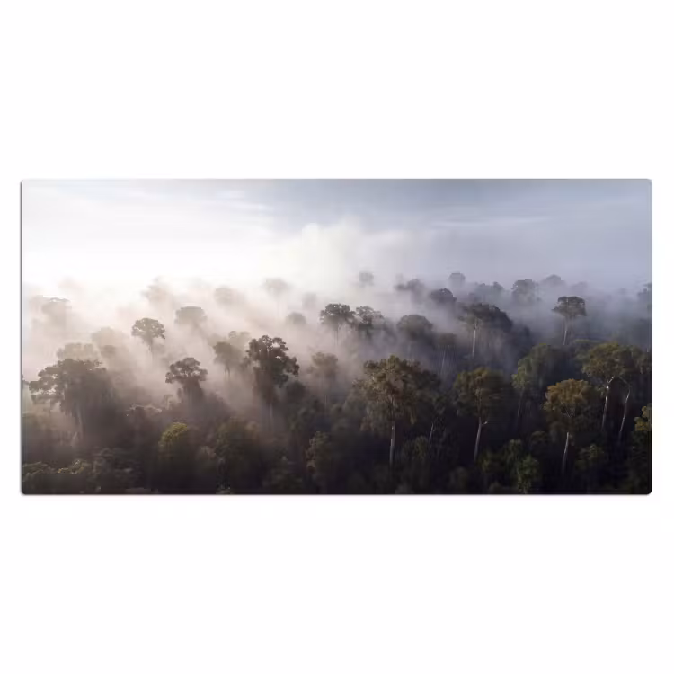 Bureau onderlegger - Bos - Mist - Natuur - Groen — 2