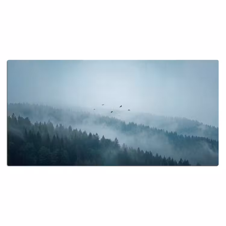 Bureau onderlegger - Bos - Mist - Vogels - Natuur - Groen — 2