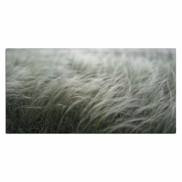 Bureau onderlegger - Gras - Wazig - Natuur - Groen - Zacht — 2