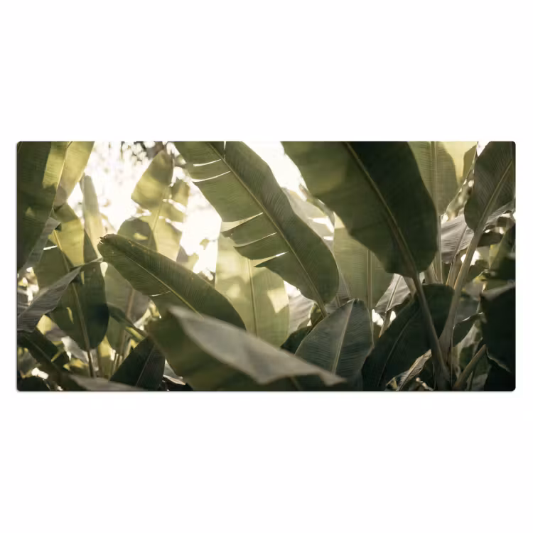 Bureau onderlegger - Natuur - Bladeren - Groen - Tropisch - Detail — 2