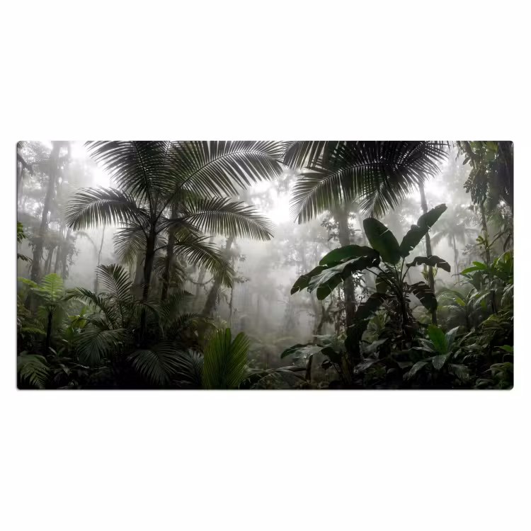 Bureau onderlegger - Natuur - Jungle - Mist - Groen - Bladeren — 2