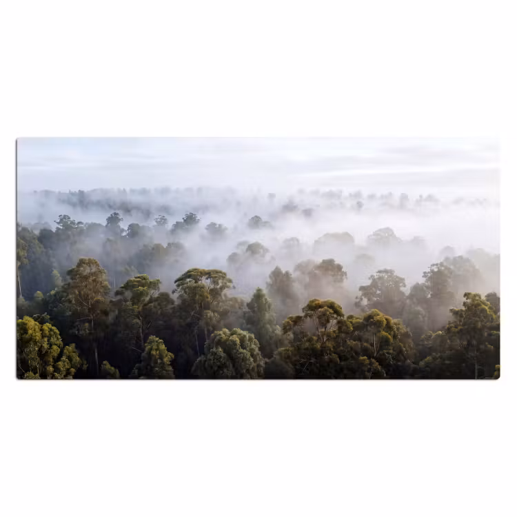 Bureau onderlegger - Natuur - Mist - Bos - Ochtend - Goud — 2
