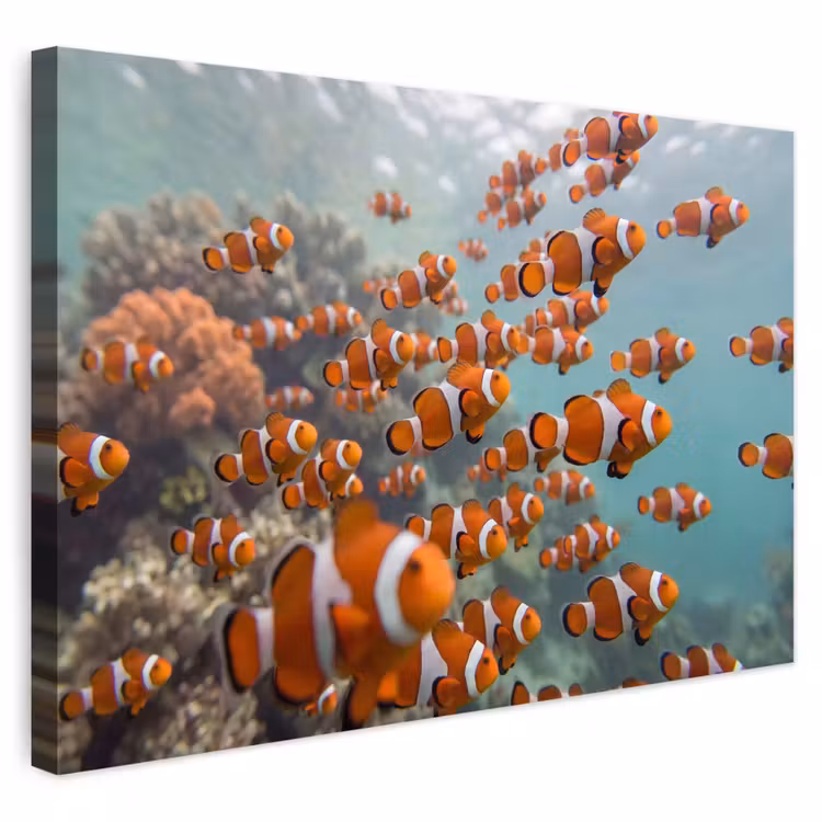 Buiten canvas - Vis - School - Onderwater - Dieren - Oranje — 1