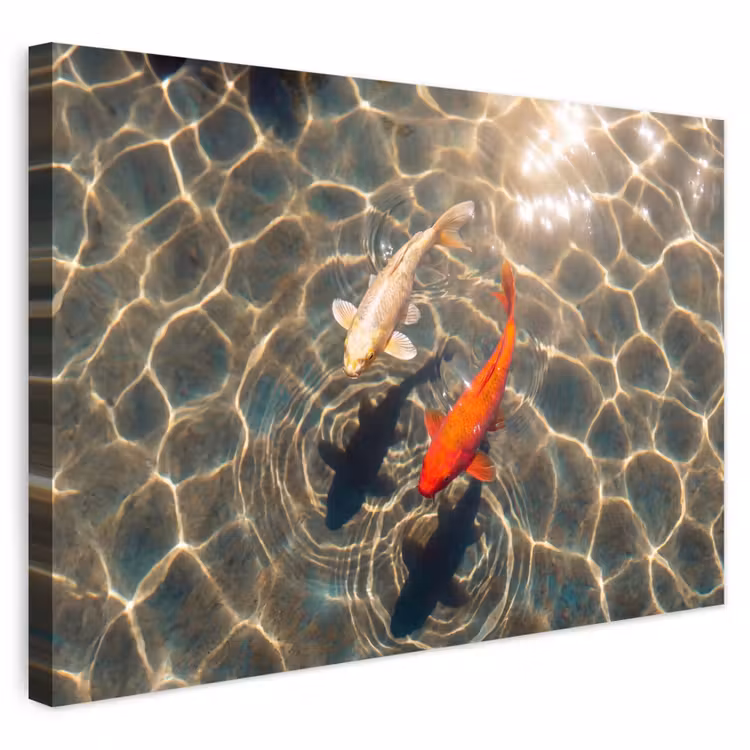 Buiten canvas - Vis - Water - Dieren - Oranje - Goud — 1