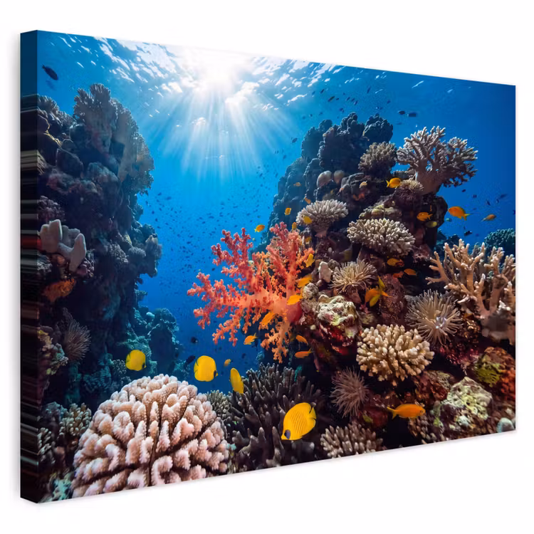 Buiten canvas - Zee - Koraalrif - Natuur - Levendig - Blauw — 1