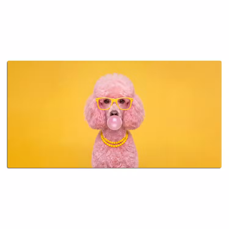 Bureau onderlegger - Hond - Kauwgum - Dieren - Modern - Roze — 2