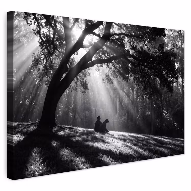 Buiten canvas - Mens - Hond - Natuur - Zwart-wit - Silhouet — 1