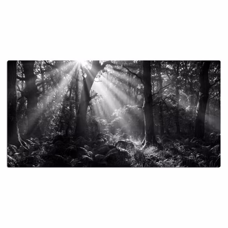 Bureau onderlegger - Bos - Lichtstralen - Natuur - Zwart-wit — 2