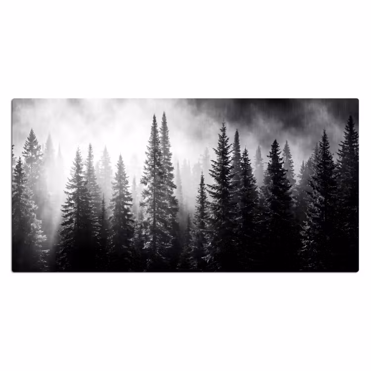 Bureau onderlegger - Bos - Mist - Winter - Monochroom - Natuur — 2