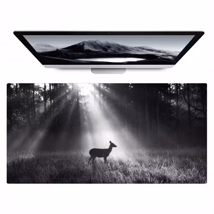 Bureau onderlegger - Hert - Bos - Zonnestralen - Zwart-wit - Natuur — 1