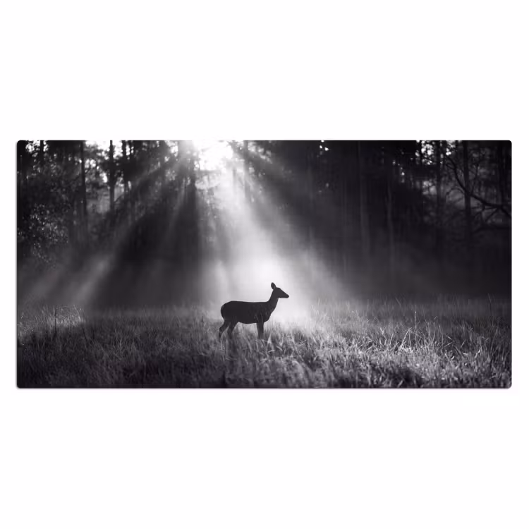 Bureau onderlegger - Hert - Bos - Zonnestralen - Zwart-wit - Natuur — 2