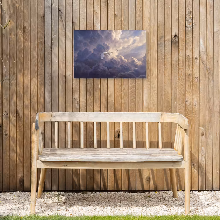 Buiten canvas - Vogel - Vliegend - Natuur - Wit - Wolken — 3