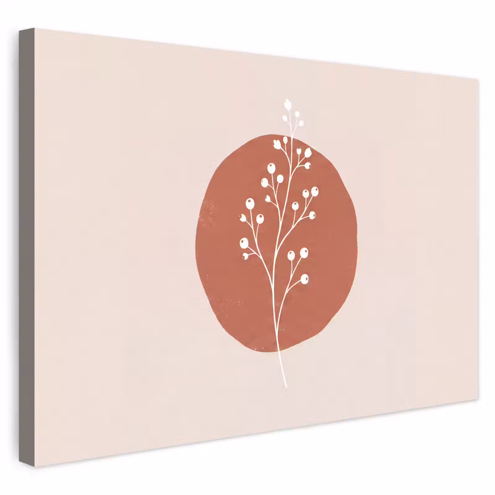 Buiten canvas - Plant - Tak - Abstract - Modern - Wit — 1