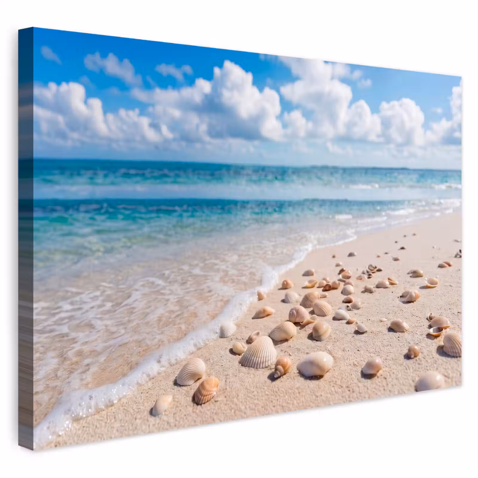 Buiten canvas - Schelpen - Strand - Natuur - Beige — 1