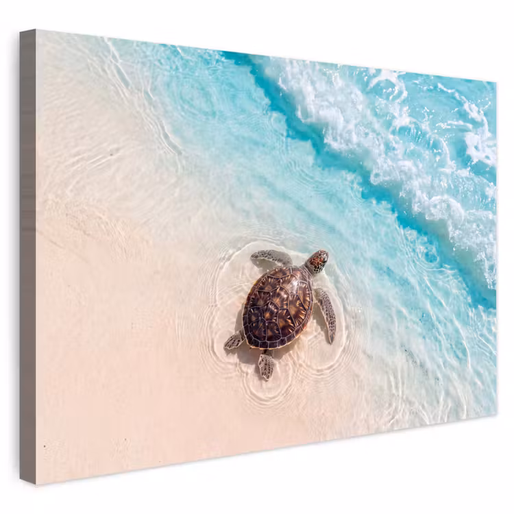 Buiten canvas - Schildpad - Helder water - Strand - Dieren - Natuur — 1