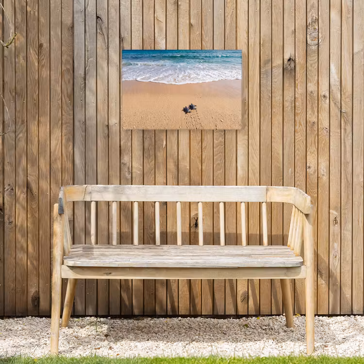 Buiten canvas - Schildpad - Jong - Strand - Oceaan - Blauw — 3