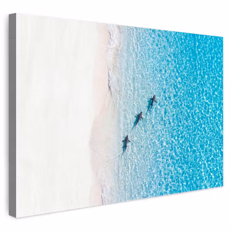 Buiten canvas - Vis - Oceaan - Strand - Turquoise - Natuur — 1