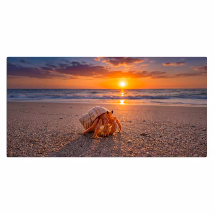 Bureau onderlegger - Kreeft - Strand - Natuur - Zonsondergang - Oranje — 2