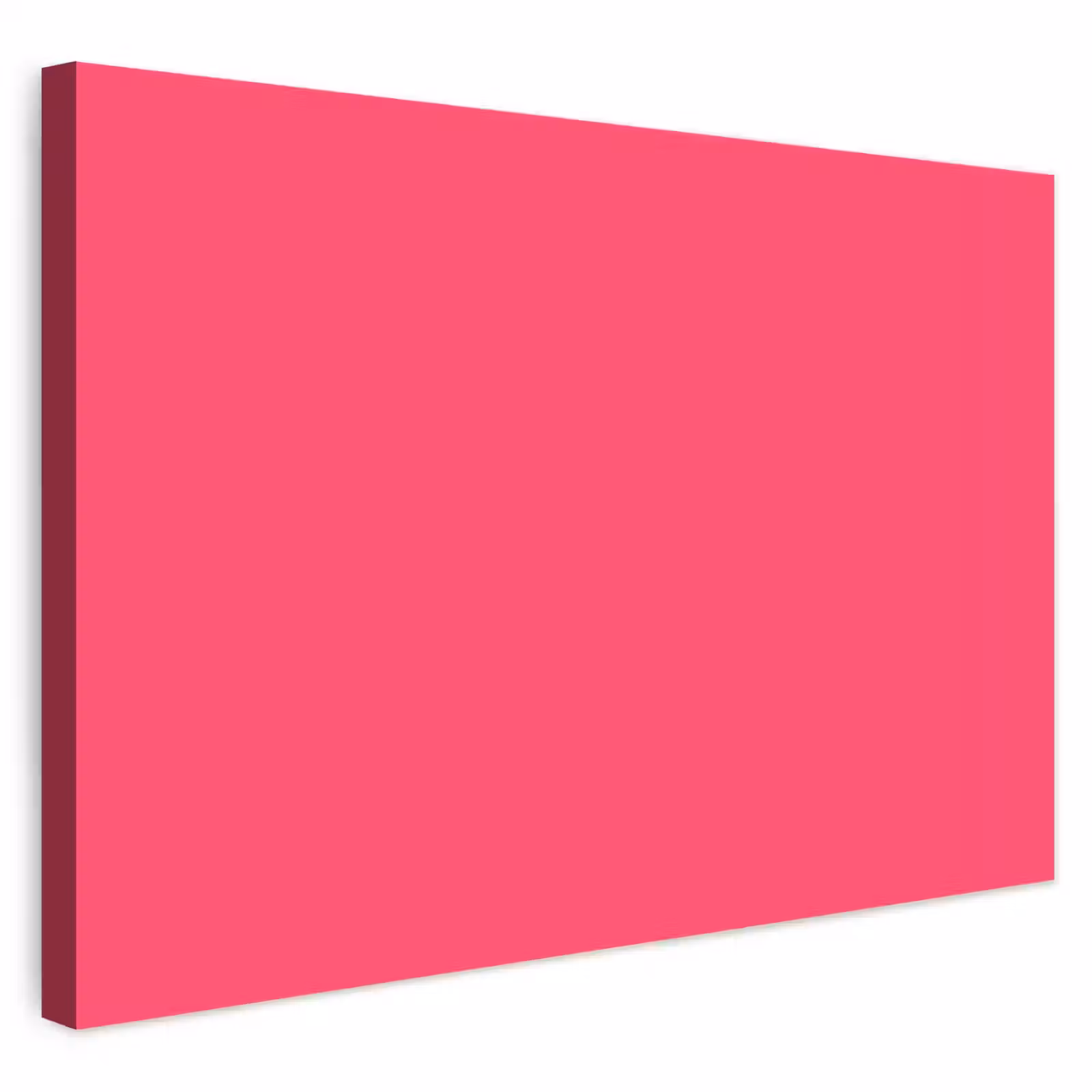 Buiten canvas - Neon - Flamingo - Roze — 1