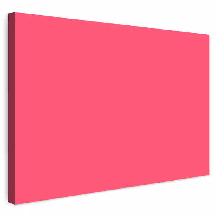 Buiten canvas - Neon - Flamingo - Roze — 1