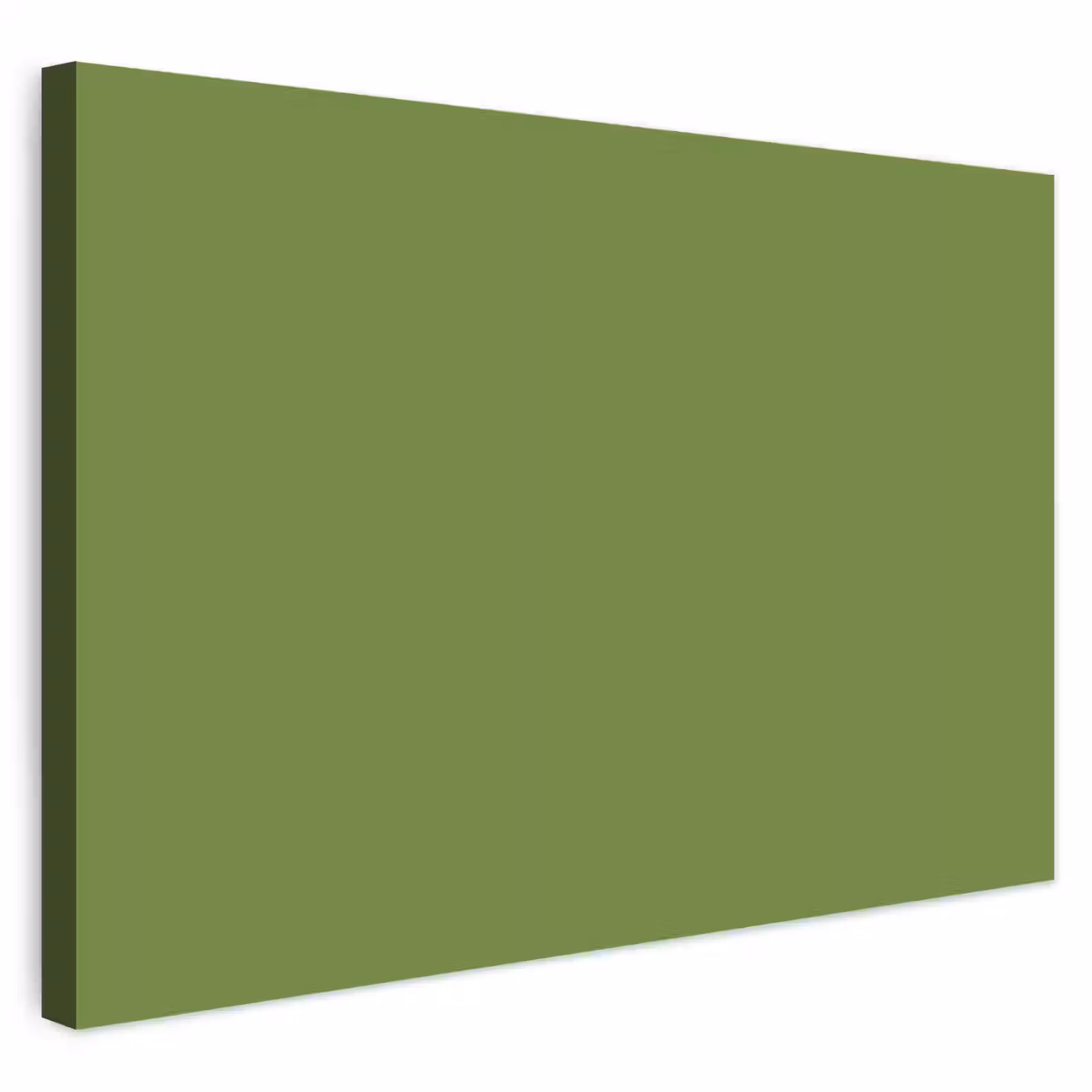 Buiten canvas - Moss - Green - Groen — 1