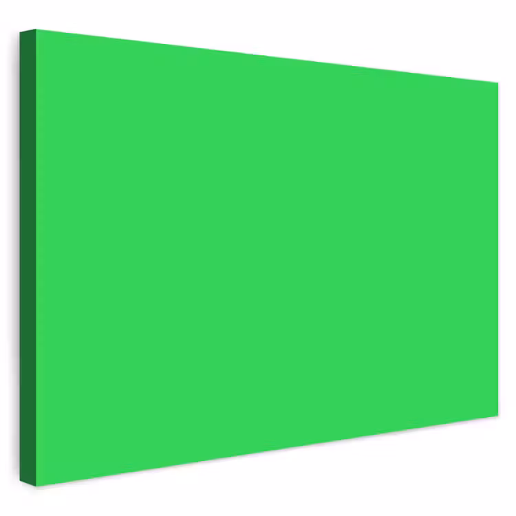 Buiten canvas - Mint - Green - Groen — 1