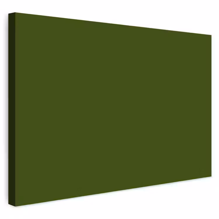 Buiten canvas - Olive - Drab - Groen — 1