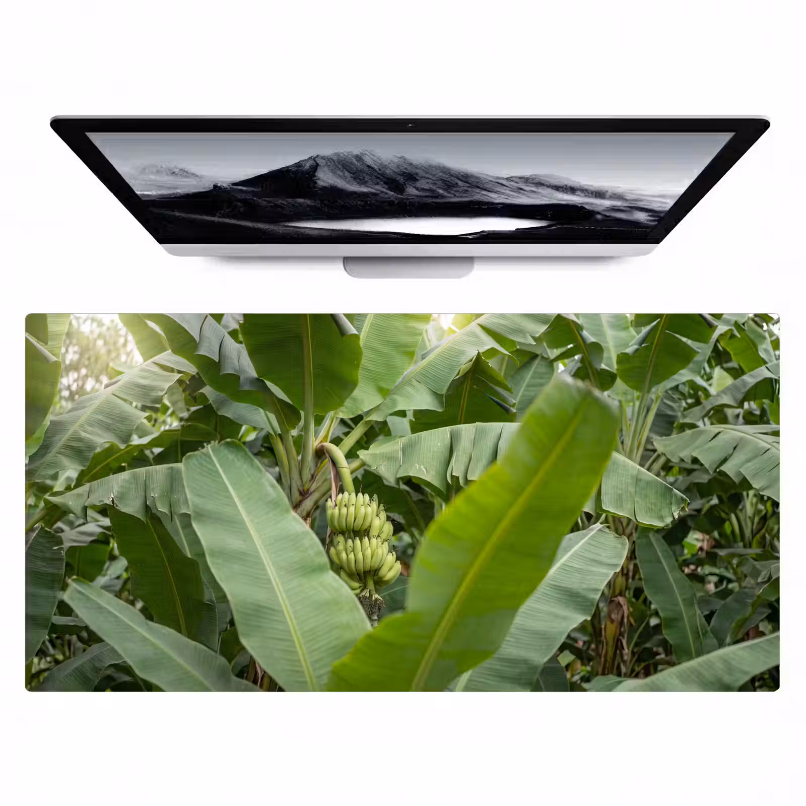 Bureau onderlegger - Eten - Bananen - Plantage - Groen — 1