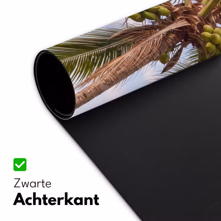 Bureau onderlegger - Kokosnoot - Boom - Tropisch - Natuur - Groen — 5