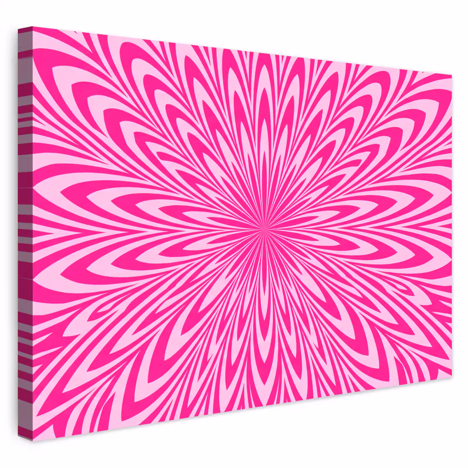 Buiten canvas - Patroon - Optisch - Roze — 1