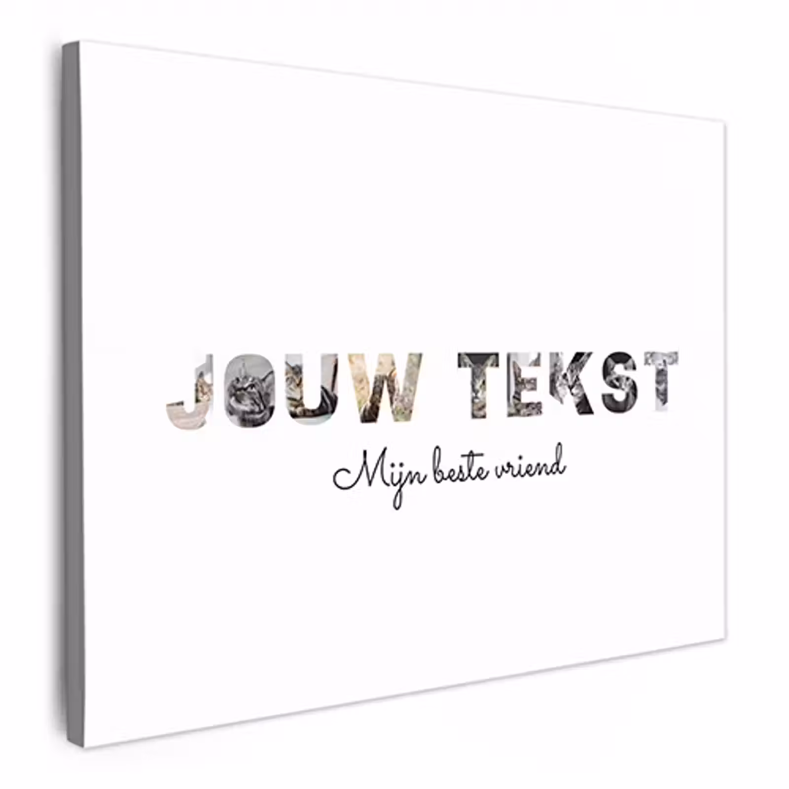 Canvas - Eigen tekst — 1