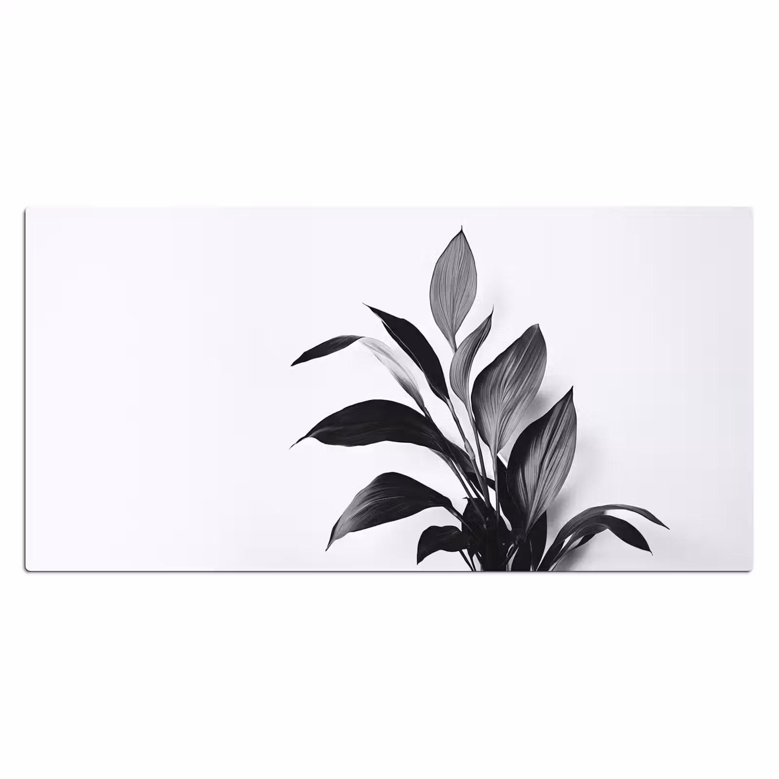 Bureau onderlegger - Plant - Bladeren - Minimalistisch - Zwart — 1