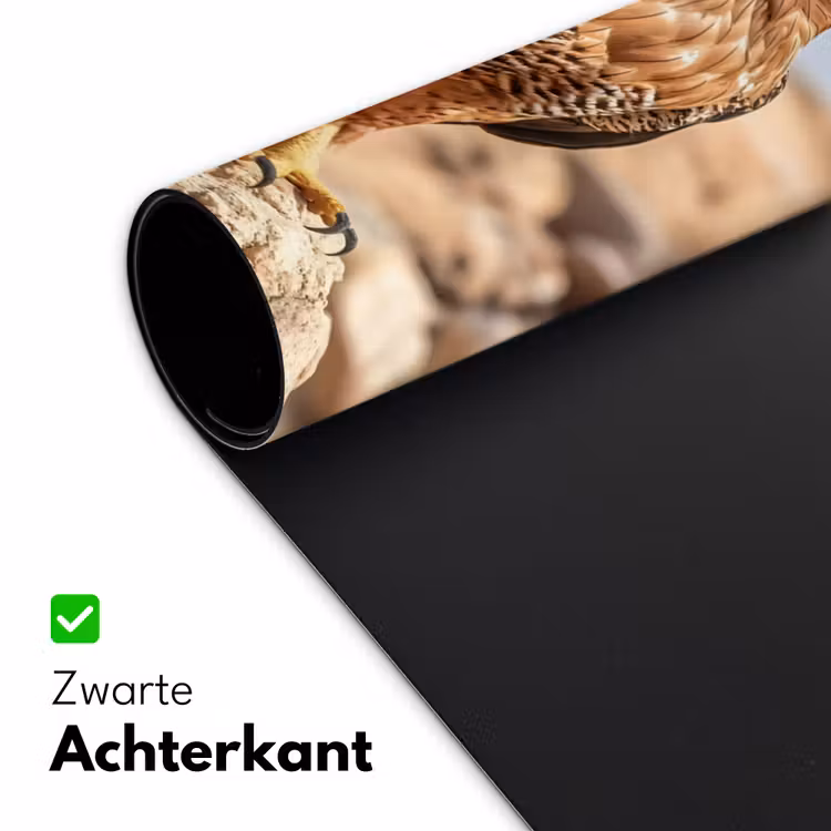 Bureau onderlegger - Valk - Vogel - Rots - Macht — 4