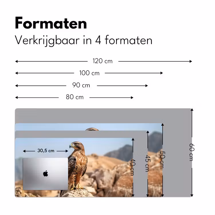Bureau onderlegger - Valk - Vogel - Rots - Macht — 7