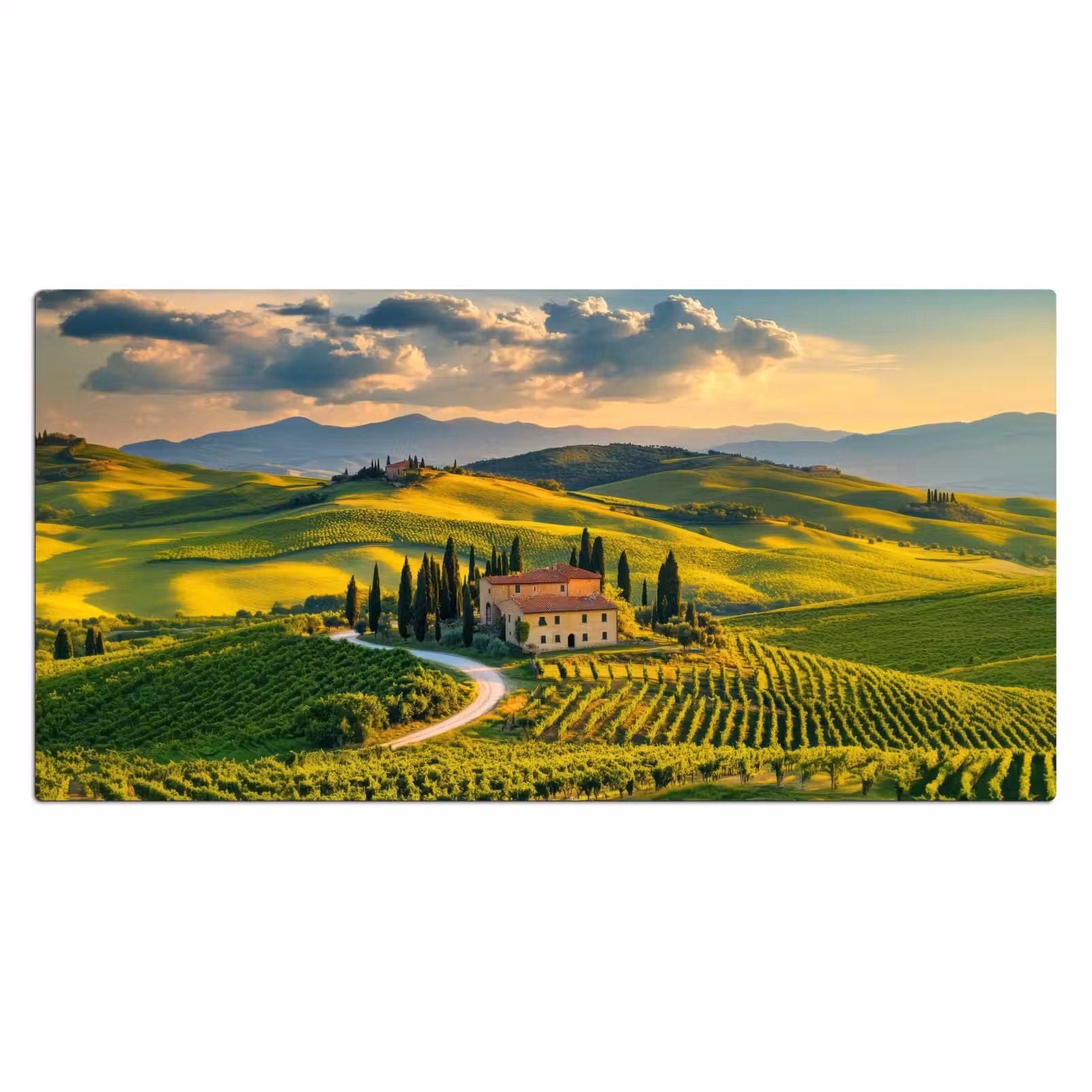 Bureau onderlegger - Toscane - Landschap - Wijngaarden — 1