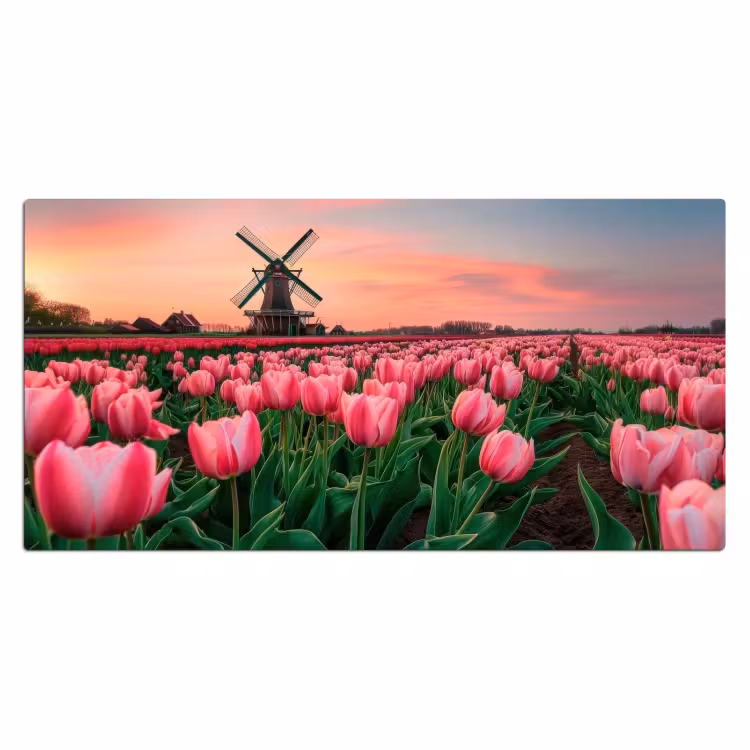 Bureau onderlegger - Tulpen - Molen - Nederland — 1