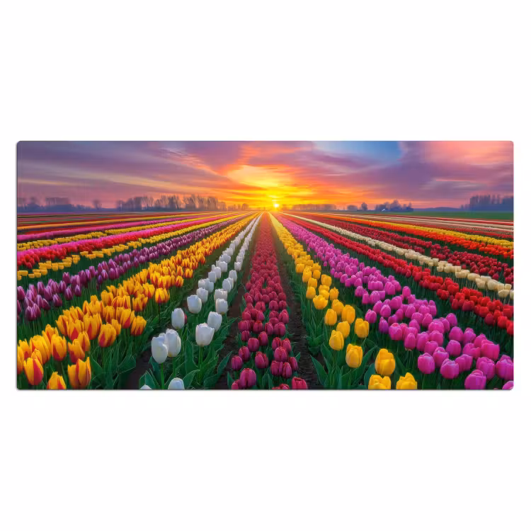 Bureau onderlegger - Tulpenveld - Zonsondergang - Kleurrijk — 1