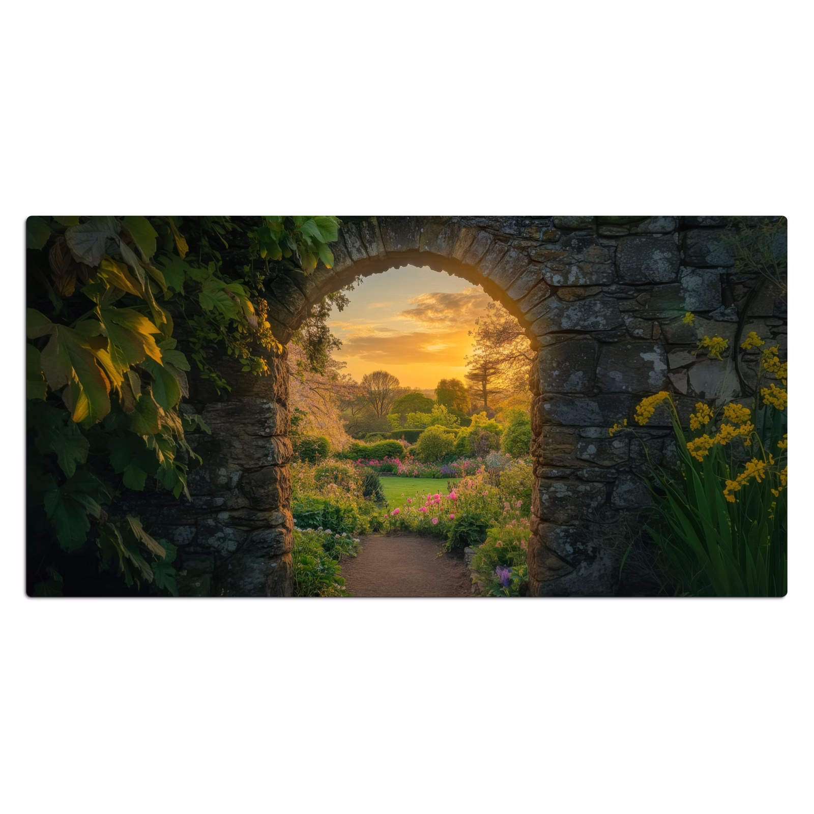 Bureau onderlegger - Poort - Planten - Zonsondergang — 1
