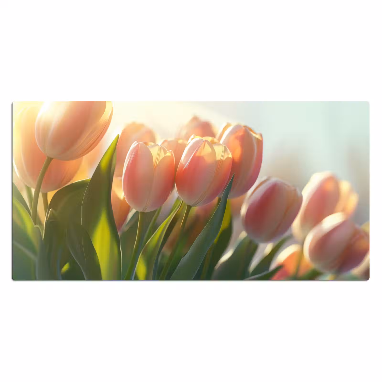 Bureau onderlegger - Tulpen - Roze - Zonnestralen — 1