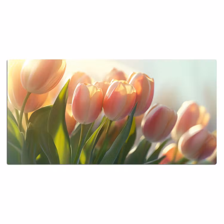 Bureau onderlegger - Tulpen - Roze - Zonnestralen — 1