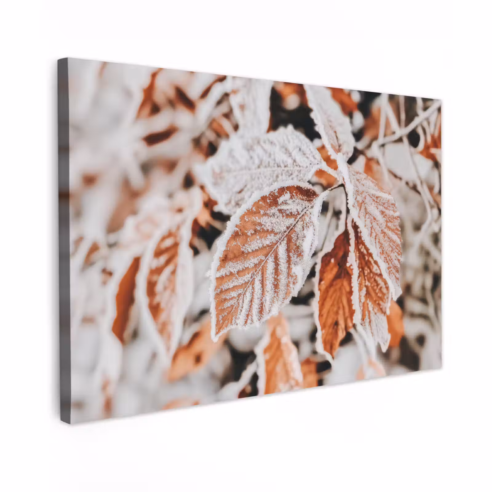Canvas schilderij - Bladeren - IJs - Winter - Natuur — 1