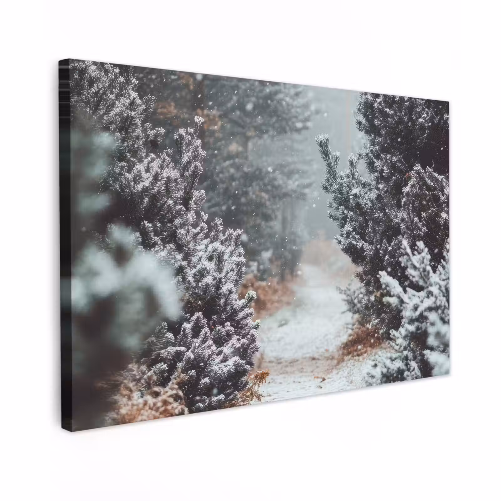 Canvas schilderij - Bos - Winter - Bomen - Natuur - Pad - Sneeuw — 1