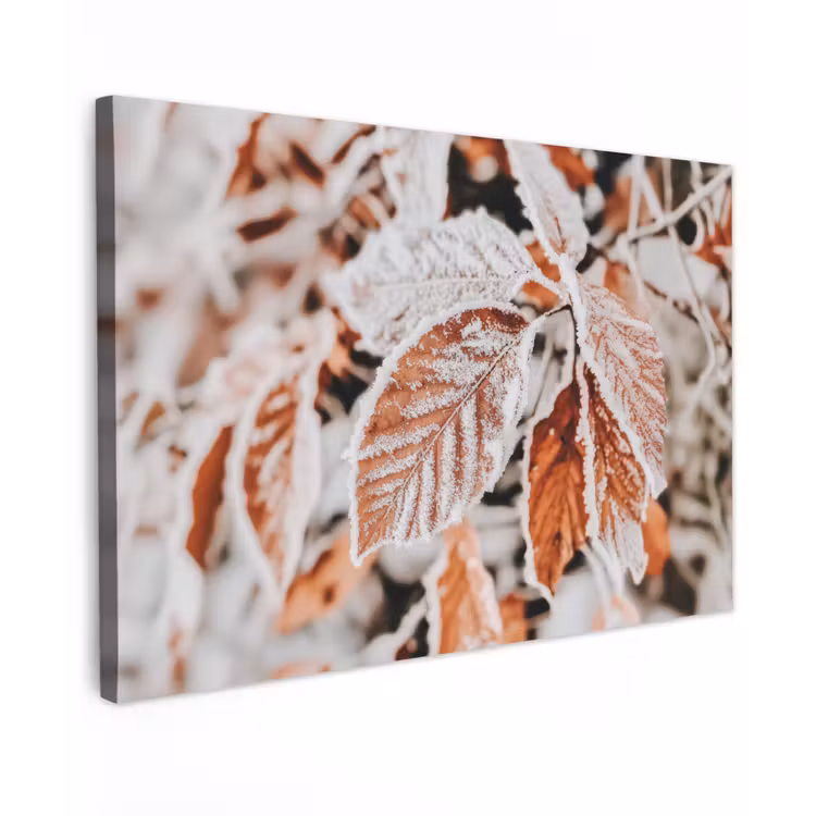 Canvas schilderij - Bladeren - IJs - Winter - Natuur — 1