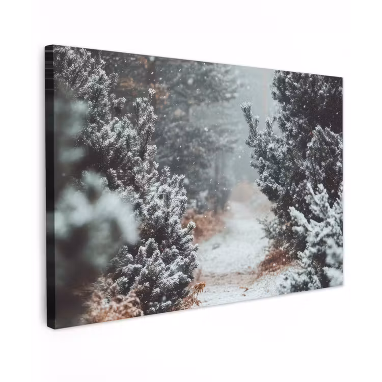 Canvas schilderij - Bos - Winter - Bomen - Natuur - Pad - Sneeuw — 1