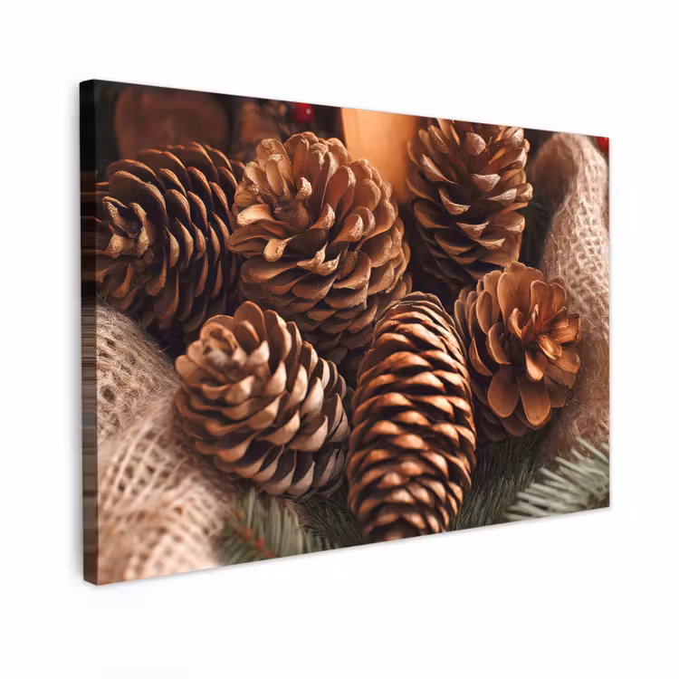 Canvas schilderij - Dennenappels - Boom - Winter - Natuur - Bruin — 1