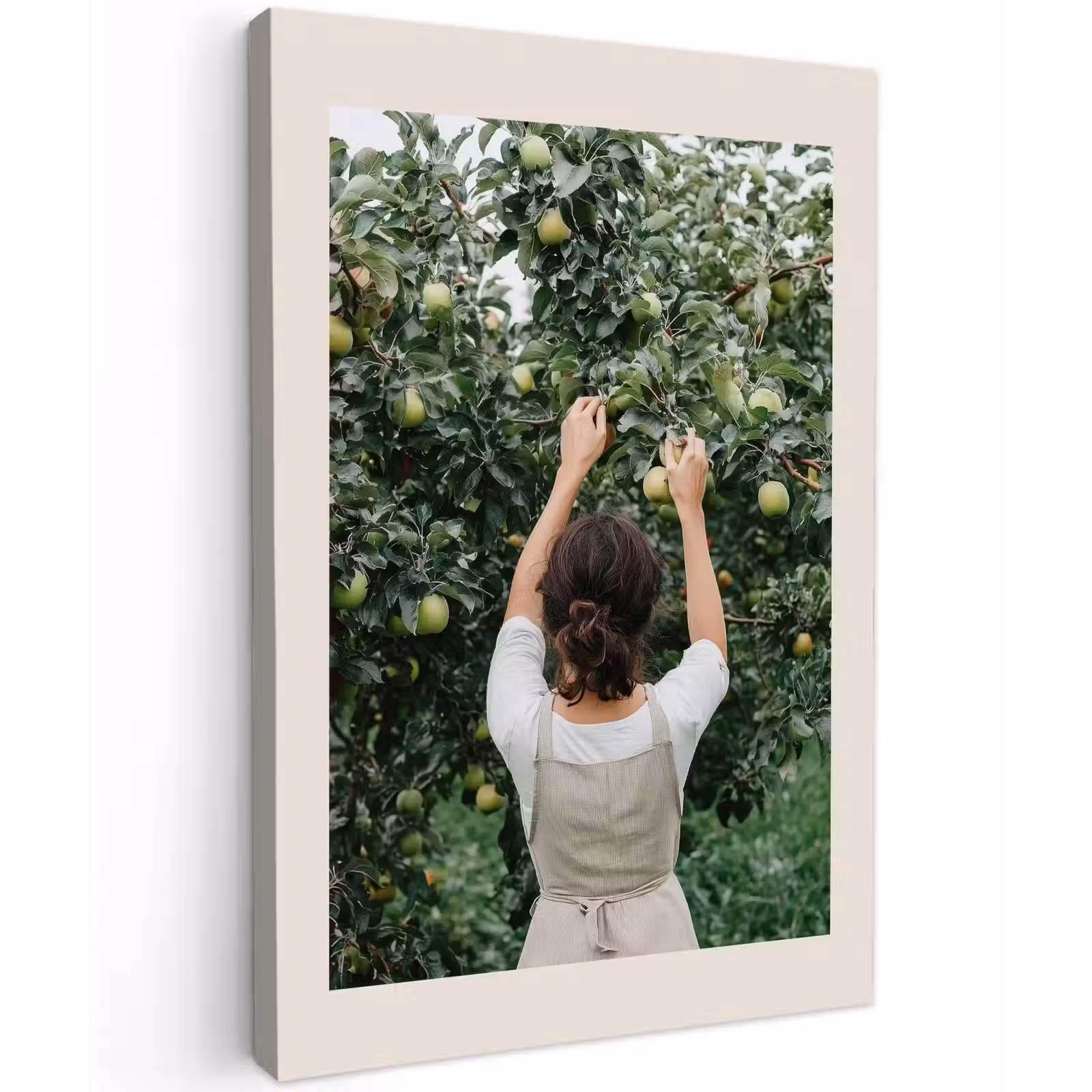 Canvas schilderij - Boom - Appels - Plukken - Natuur — 1