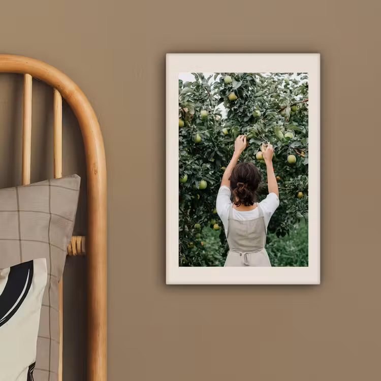 Canvas schilderij - Boom - Appels - Plukken - Natuur — 3