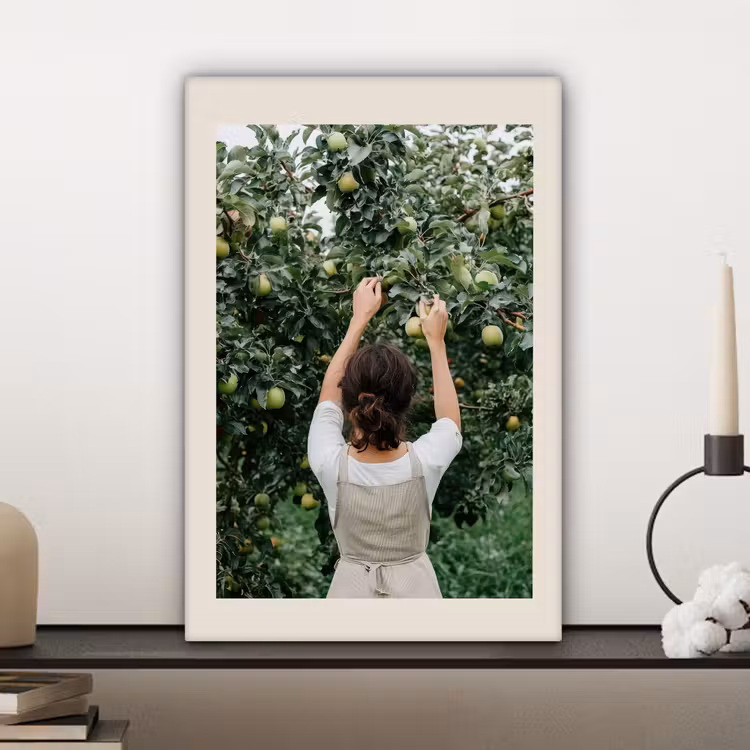Canvas schilderij - Boom - Appels - Plukken - Natuur — 5